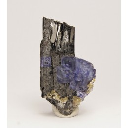 Fluorite and Ferberite - Panasqueira M03409